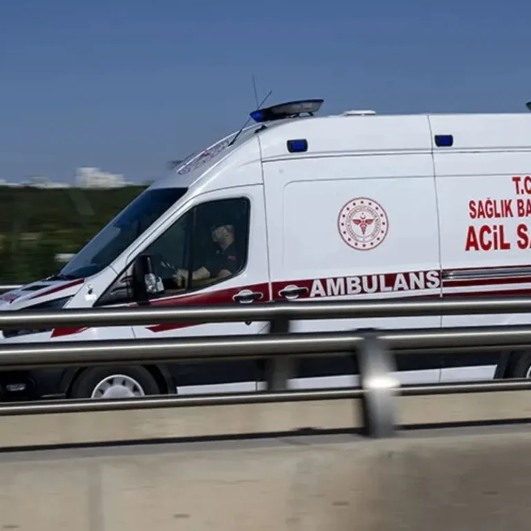 Alacak kavgası kanlı bitti! 2 kardeşe av tüfekli saldırı