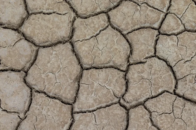Asya'da El Nino'nun Etkileri İçin Kapsamlı Önlemler Alınıyor