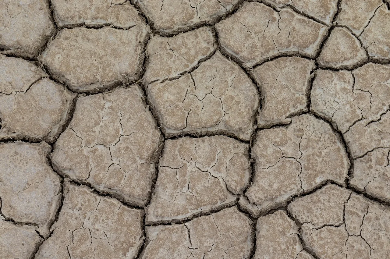 Asya'da El Nino'nun Etkileri İçin Kapsamlı Önlemler Alınıyor