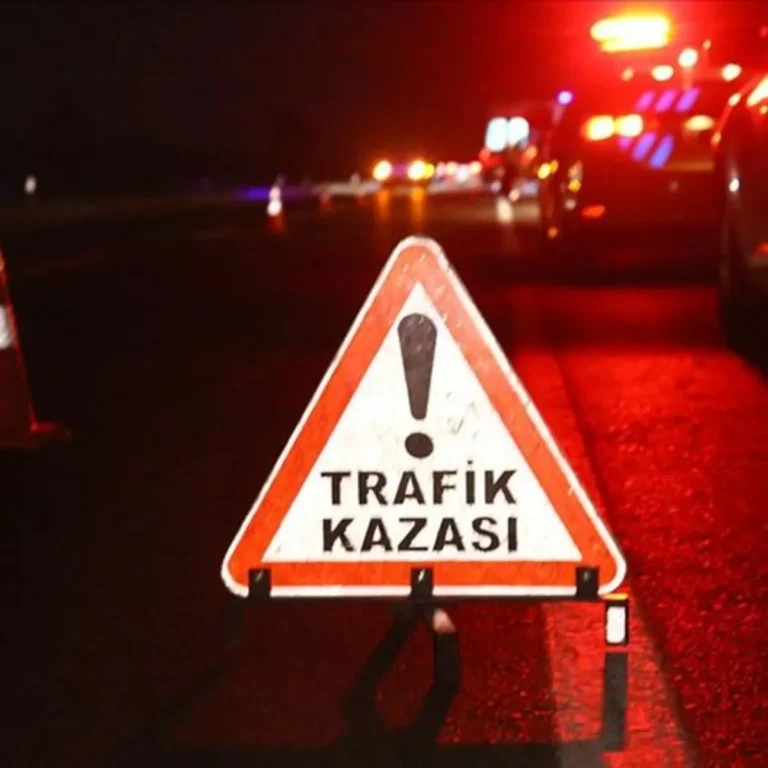 Bodrum'da kontrolden çıkan kamyonet can aldı: 1 ölü