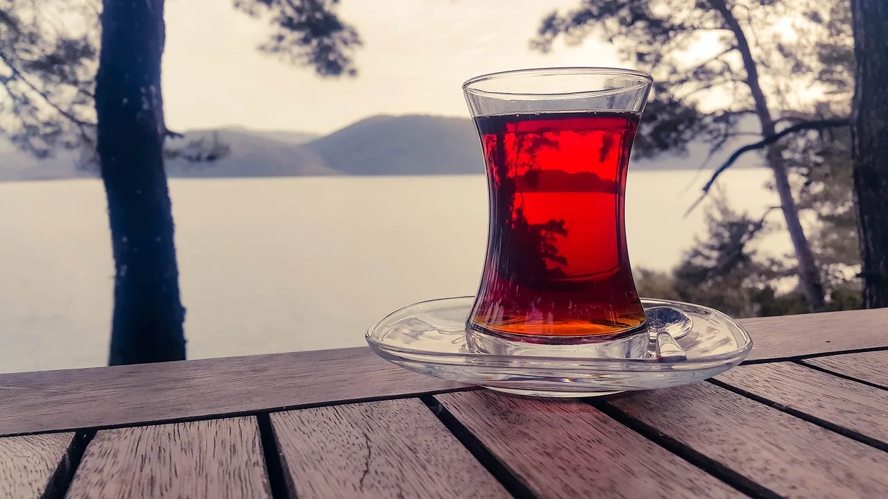 Gebze'de Şehit Yakınları ve Gazi Evi hizmete açıldı