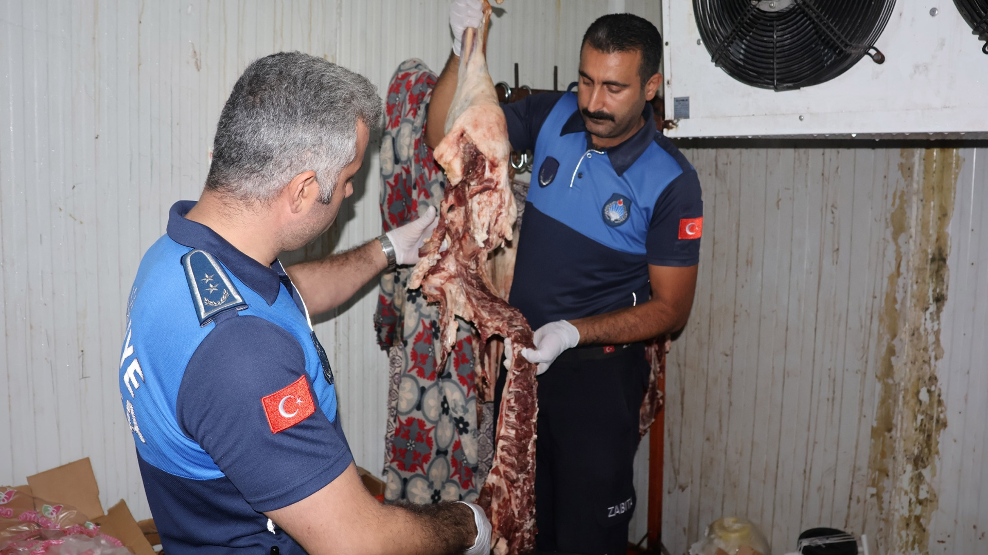 Kasapta 315 kilo bozuk et bulundu
