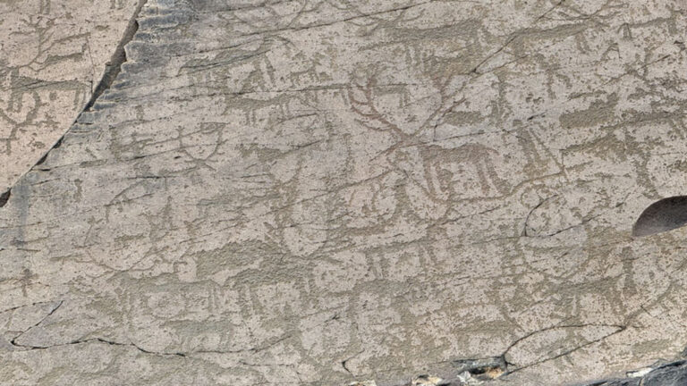 Kayalara işlemişler! Kars'ta gizemli figürler