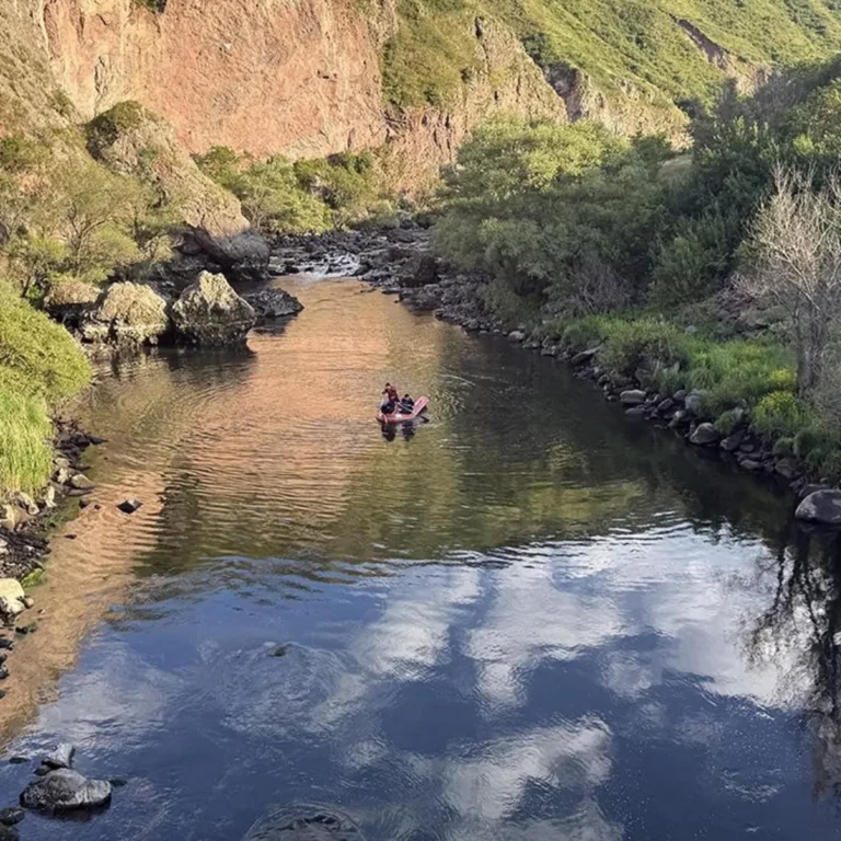 Kura Nehri’nde onlarca balık telef oldu! Ekipler harekete geçti