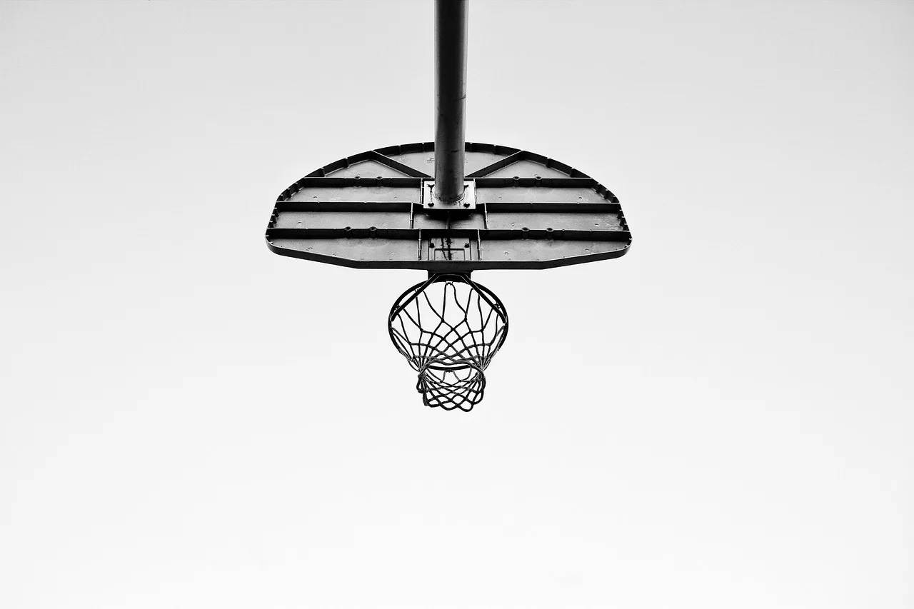 Tarık Biberovic için NBA'de ayrılık iddiası