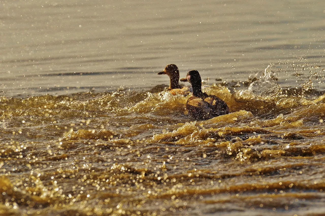 Uyku Takip Cihazları Sağlıklı Uykuyu Engelleyebilir mi?